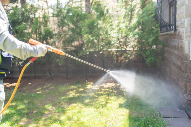 Best Outdoor Pest Control  in Hampton, SC